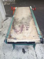 Roach Belt Conveyor