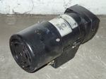 Bison Gearmotor