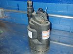 Dayton Submersible Pump