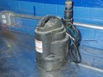 Dayton Submersible Pump