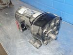 Dayton Dc Gear Motor