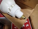 Prolight Light Bulb