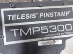 Telesis Pinstamp Marking Systwem