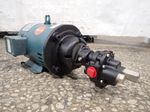 Dayton Gear Pump