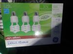  Light Bulbs