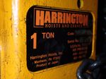 Harrington Pneumatic Chain Hoist