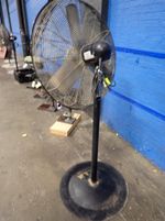 Lakewood Pedestal Fan