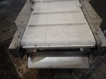 Custom Built Ss Conveyor