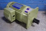 Tung Lee Electrical Co Gear Motor