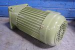 Tung Lee Electrical Co Gear Motor