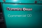 Cummins Onan Generator