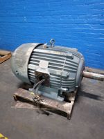 Emerson Emerson 659304 Motor