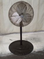 Dayton  Pedestal Fan 