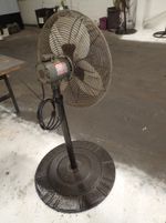 Dayton  Pedestal Fan 