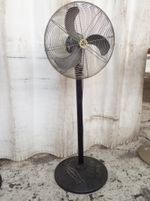 Airmaster Pedestal Fan