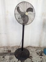 Airmaster Pedestal Fan