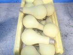  Coated Light Bulbs