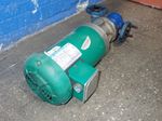 Oberdorfer Pumps Pump