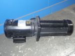 Grundfos Pump