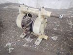  Diaphragm Pump