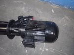 Brinkmann Pump