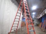 Michagan Ladders Ladder