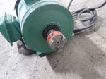 Teco Induction Motor