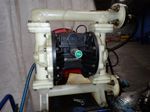 Gracoifh Group Lubrication Pump