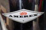 Amerex Fire Extinguisher