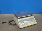 Siltec Electric Scale