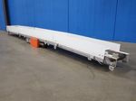 Roach Motorized Belt Conveyor