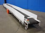 Roach Motorized Belt Conveyor