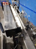 Morrison Timing Screw Timing Screw Conveyor
