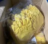 North Rubber Gloves