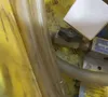 Manga Filler