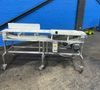 12” X 82” Conveyor