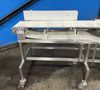12” X 82” Conveyor