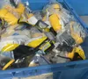 Hubbell Watertight Twist-lock Connectors - Hbl27w82