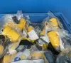 Hubbell Watertight Twist-lock Connectors - Hbl27w82