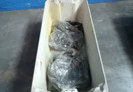 ANSI CONVEYOR CHAIN   -  C2080H