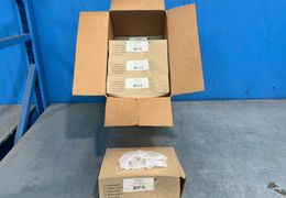 CELLUCAP WHITE HONEYCOMB BEARDNETS  -  BN100