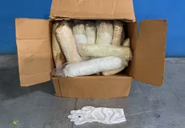 GLOVES