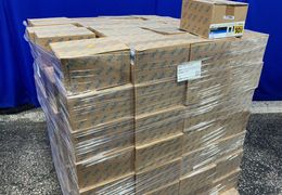 EATON DECORATOR WALLPLATE  -  PJ26V-10-LW