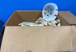 BALL CAP LINER