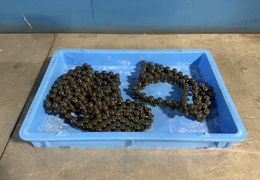 ROLLER CONVEYOR CHAIN