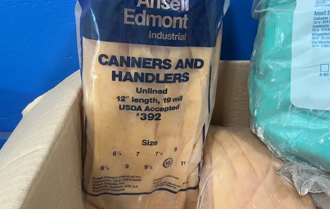 Gloves