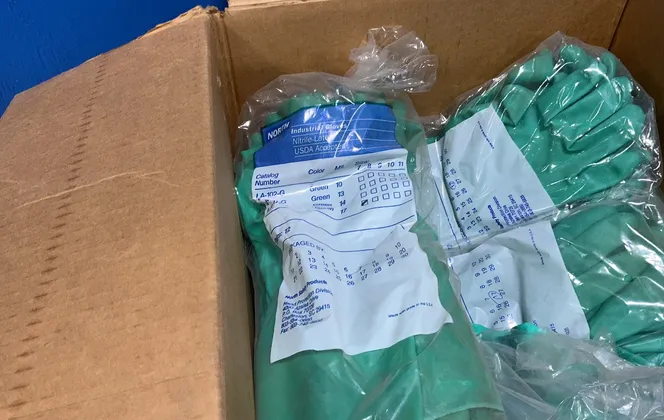 North Latex Gloves