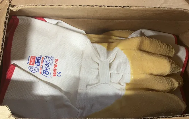 Best Gloves