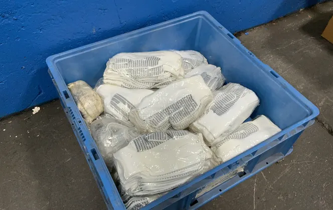 Gloves