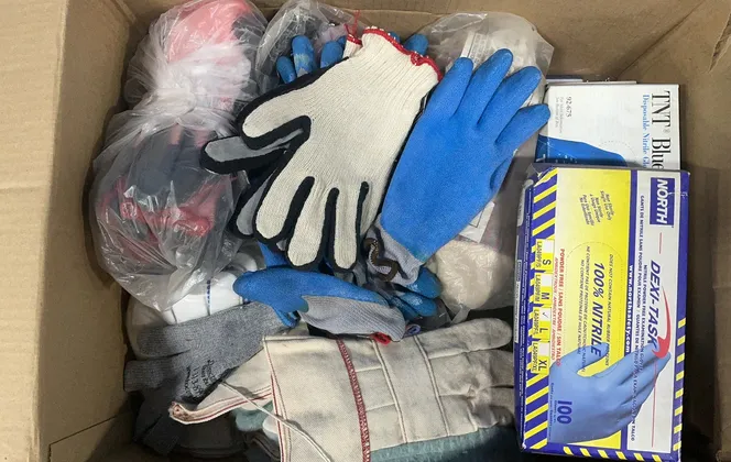 Gloves